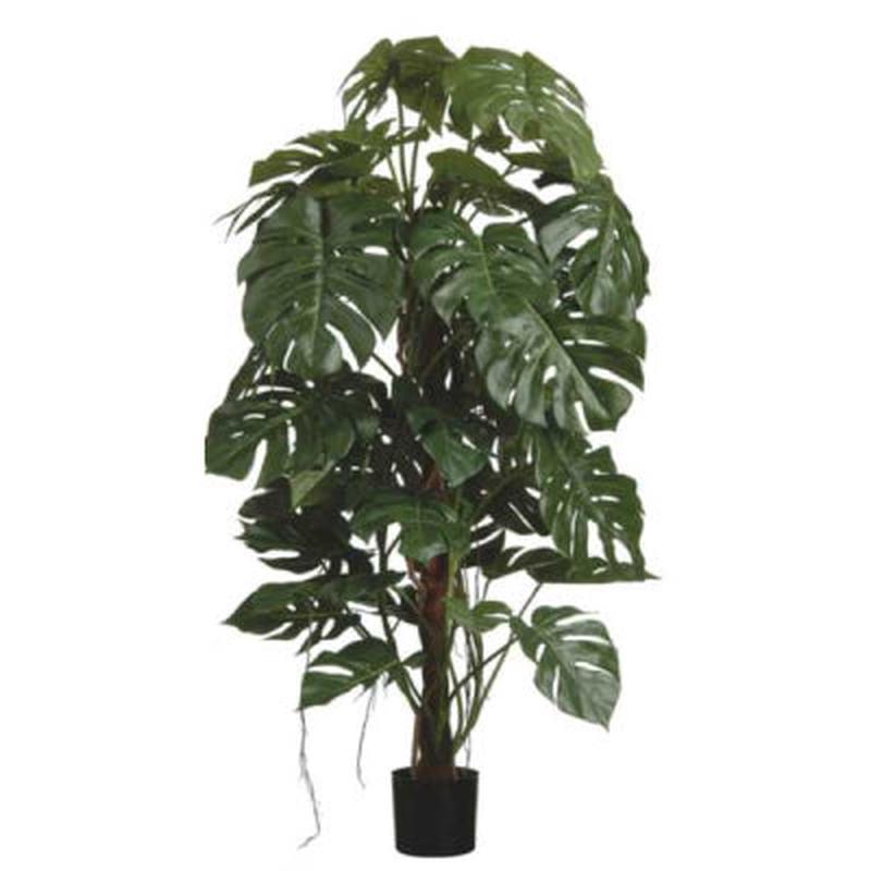 5Ft Split Philo Tree