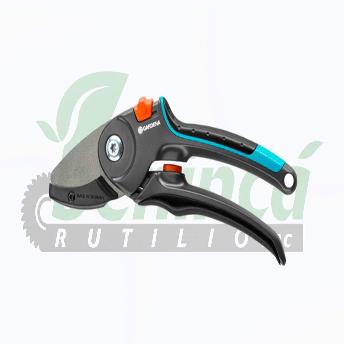 Scissors Garden AM