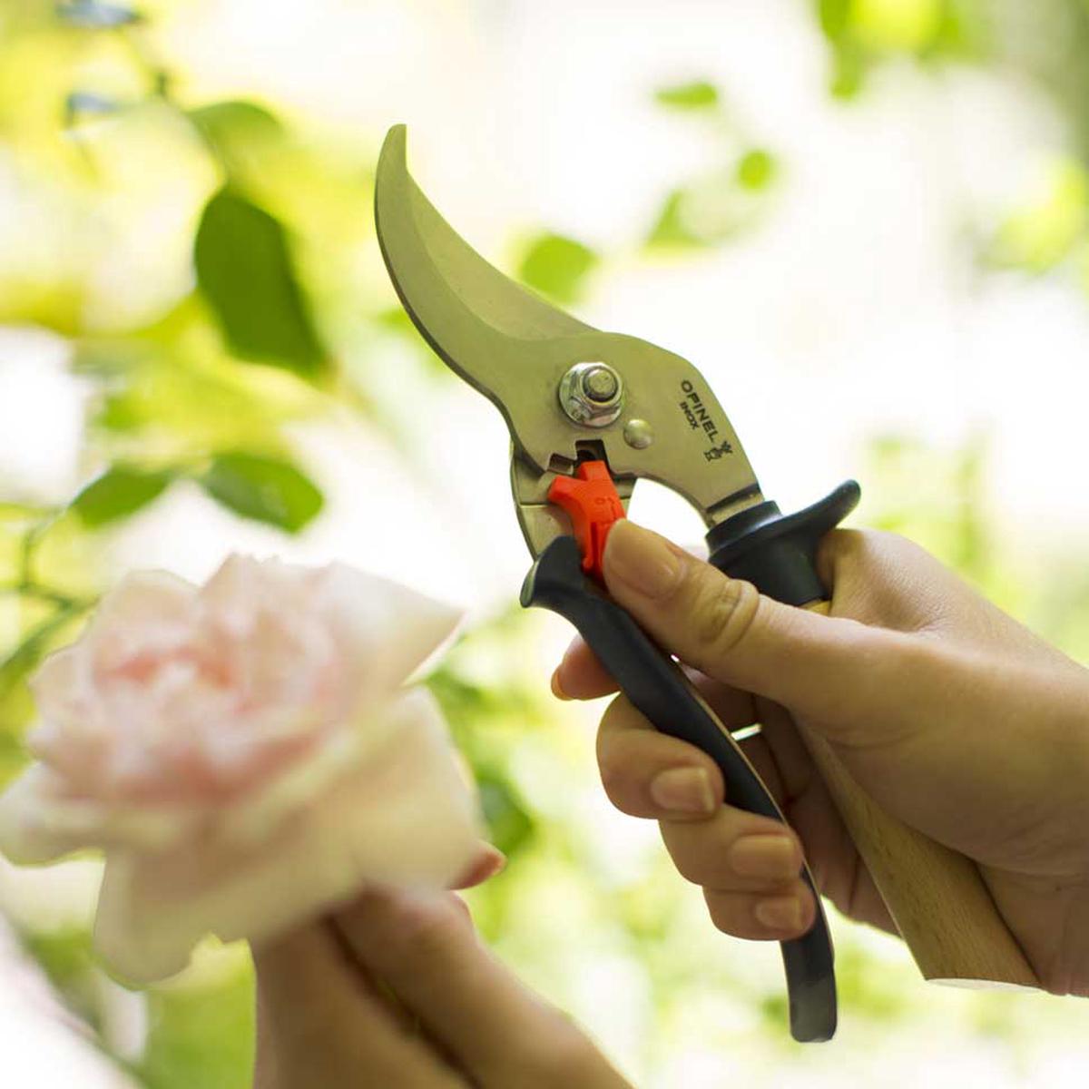 Hand Pruner Blue