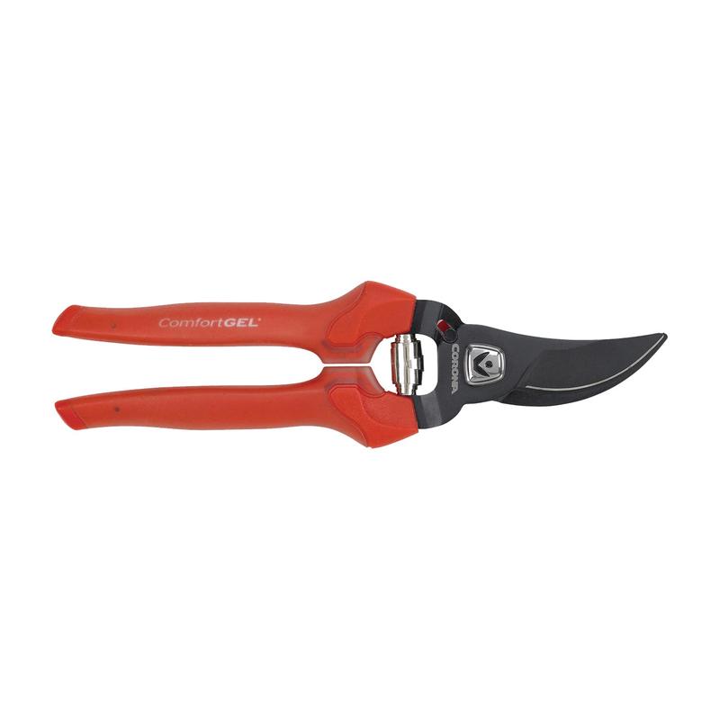 Pruning Shear